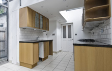 Llandyfriog kitchen extension leads